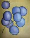 blauwe-ballen-th.jpg (2428 bytes)